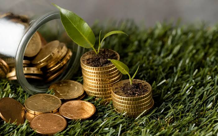 Potensi Ekonomi Hijau Kita Memastikan Swasembada Daya