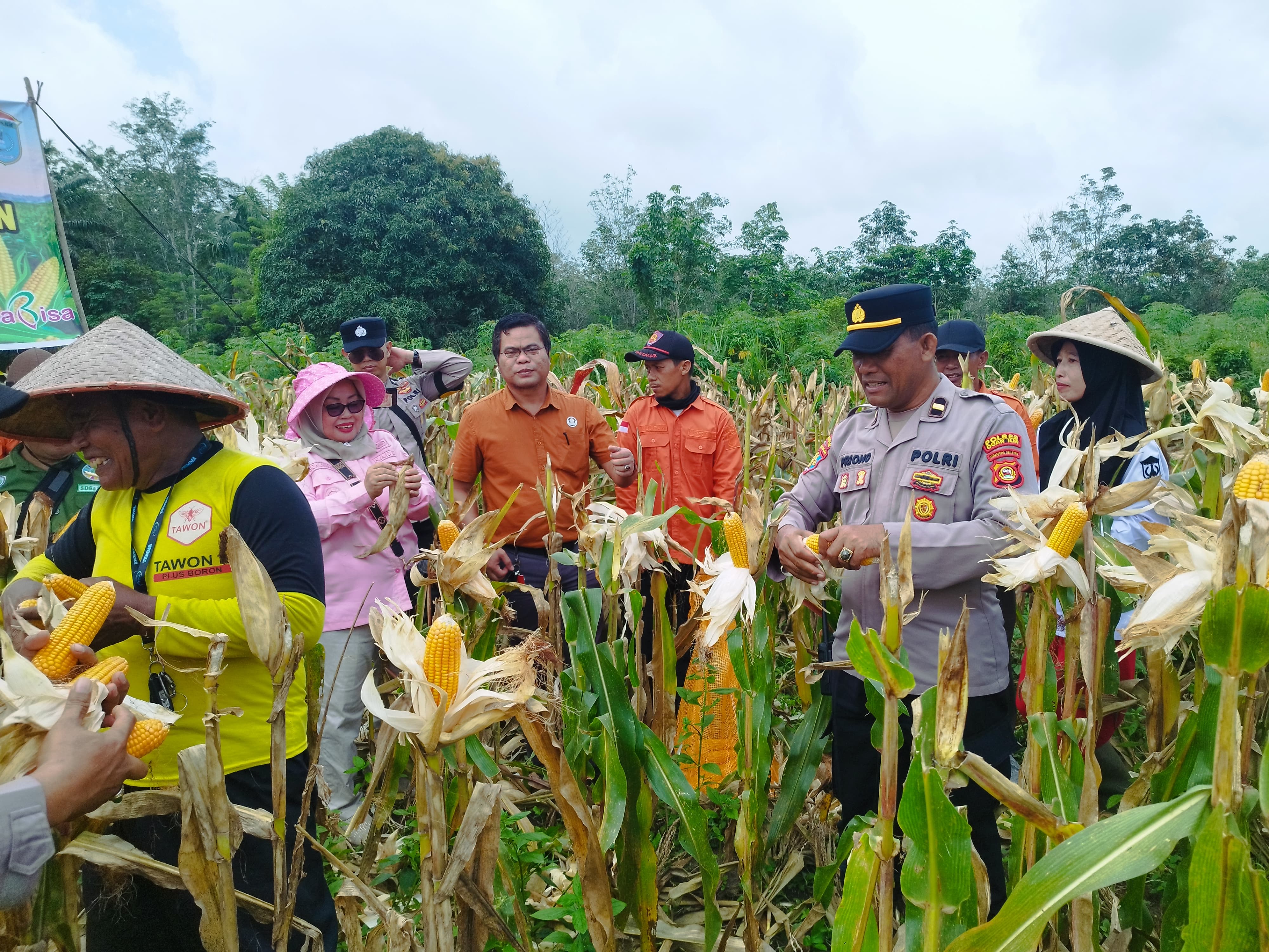 Wakapolsek Indralaya Hadiri Panen Jagung Pipil Dukung Ketahanan Pangan di Desa Lorok